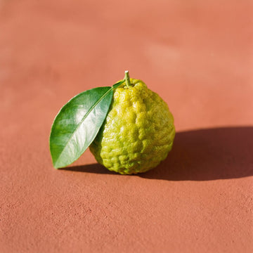 Bergamotto